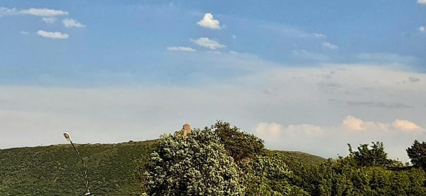 فندق Dream House Mtsʼkhetʼa المظهر الخارجي الصورة